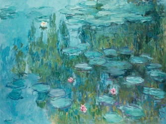 Seerosen
