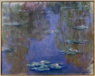 Seerosen