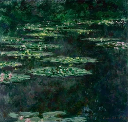 Seerosen