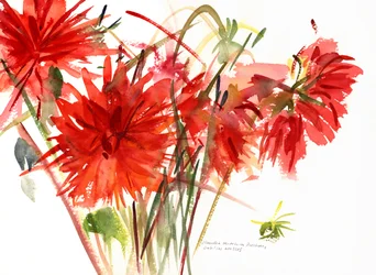 Dahlien, 2002