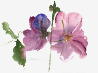 Stockrosen, 1988
