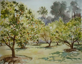 Mamounia, Orangenhaine