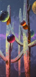 Saguaro Himmlische Nacht