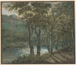 Sonnenlicht, das durch Bäume am Fluss Sihl filtert