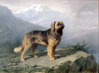 Ein Mastiff in einer alpinen Landschaft