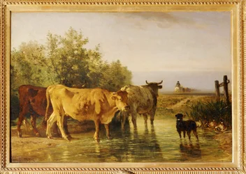 Herde überquert die Furt