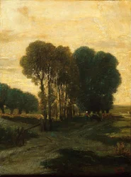 Ein Baumklumpen, ca. 1860