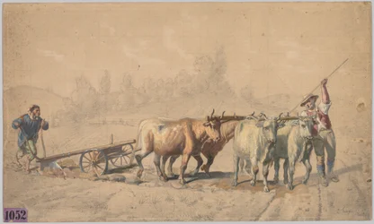 Vier Ochsen ziehen einen Pflug, 1853.