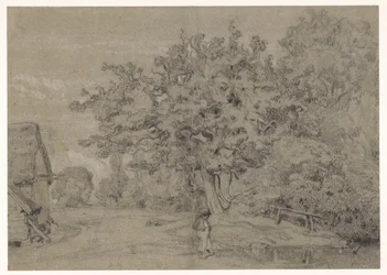 Alter Baum bei einem Bauernhof
