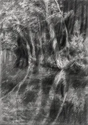 Beschatteter Waldbach