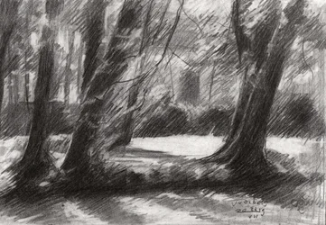 Ruhiger Waldweg