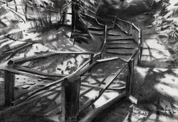 Gewundene Waldtreppen