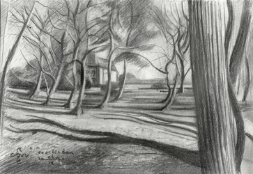 Winterwald Schatten