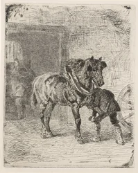 Pferd bekommt Hufeisen in einer Schmiede