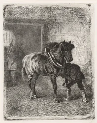 Pferd bekommt Hufeisen in einer Schmiede