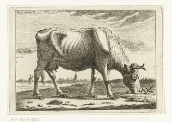 Landschaft mit grasender Kuh