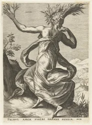 Daphne