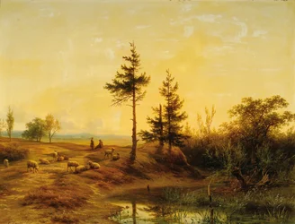 Eine weite Heidelandschaft