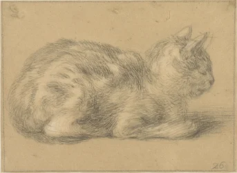 Sitzende Katze, nach rechts