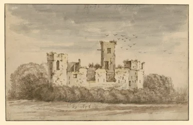 Burgruine, von dichtem Gebüsch umwachsen