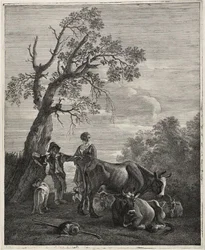 Eine ruhende Herde