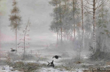 Morgen im Wald
