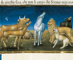 „Sterne werden vor den Augen der Tiere vom Himmel fallen“ (Miniatur) Miniatur von Cristoforo De Predis (1440-1486)