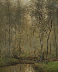 Oever van een rivier