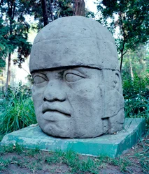 Präkolumbische Zivilisation: kolossaler Olmekenkopf. 10.-7. Jahrhundert v. Chr. Mexiko, Park Musée de La Venta