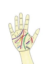 Handfläche