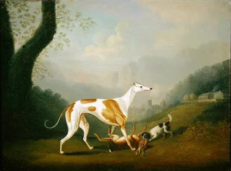 Windhund mit einem Spaniel-Welpen und totem Hasen