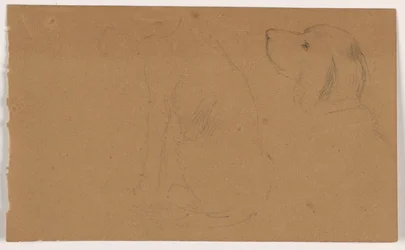 Dash (ein Setter), Kopf und Körper, ca. 1862