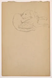Zeichnung, Dash (ein Setter), ca. 1862