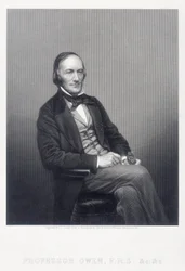 Sir Richard Owen, englischer Zoologe, um 1860