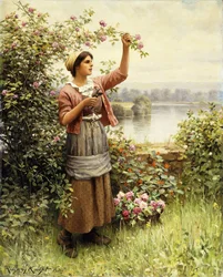 Rosen schneiden entlang der Seine