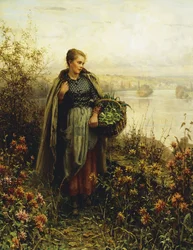 Morgenkühle