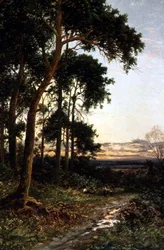 Der Waldweg