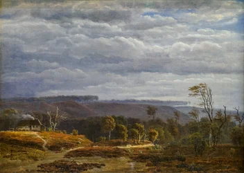 Ansicht einer bewaldeten Landschaft in Jütland