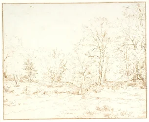 Ein Waldweg
