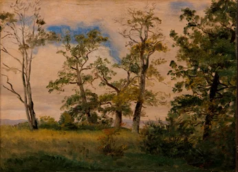 Landschaft mit freistehenden Bäumen