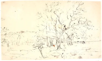 Landschaft mit Bäumen