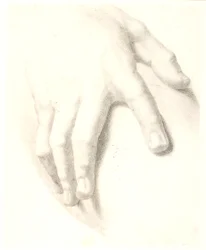 Studie einer Hand