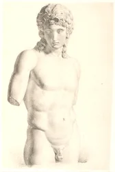 Zeichnung nach Gips: "Eros von Centocelle" (Vatikan)