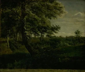 Ørsbjerg Wald bei Aarup, Fünen