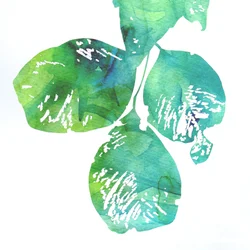 Lebendige Aquarellblätter