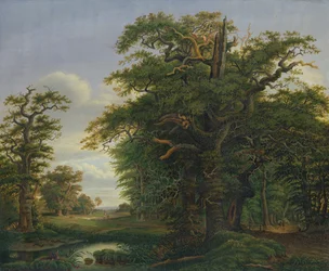 Eichenwald, 1847