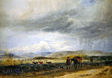 Llugwy-Wiesen