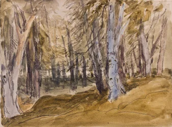 Bäume auf Box Hill