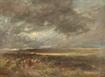 Moorlandschaft: Schäfer und Schafe