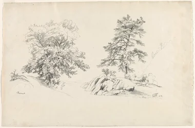 Kastanie und Kiefer, 1869